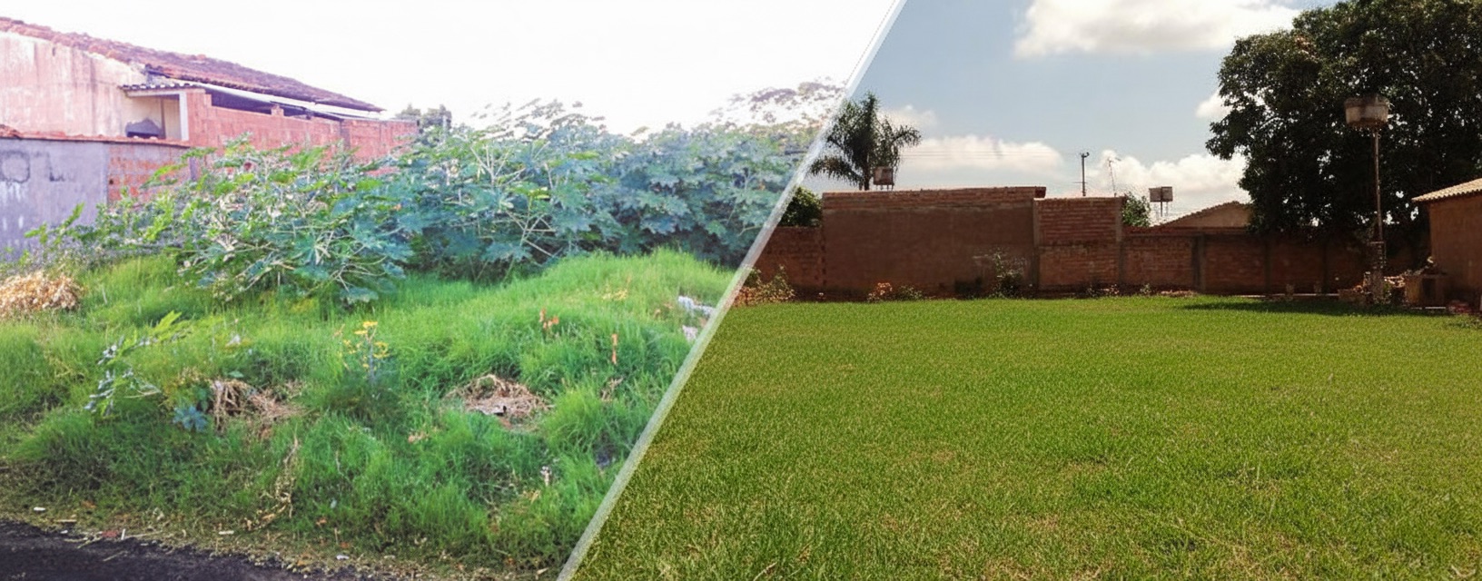 Antes e Depois da Limpeza de Lote em Novo Gama